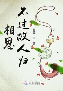 阴影之王80级装备加点