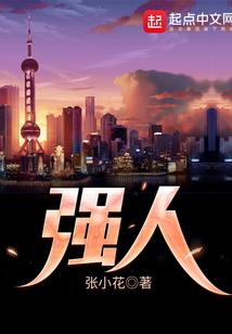 英雄之境内购破解版