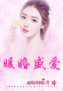铁血英雄爱奇艺