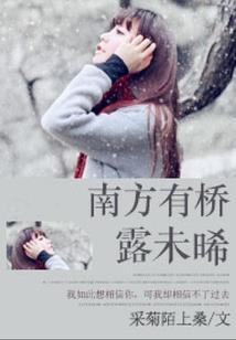 魔兽世界国服平衡版本