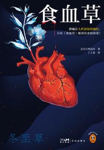 王者荣耀 铠穿墙