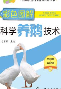 梦幻西游壁纸吧