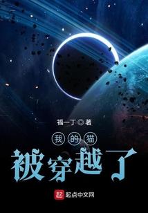 梦幻西游npv