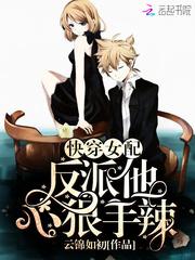 FIR capture破解版