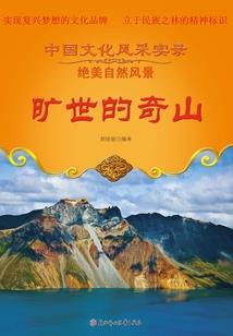 大亨类安卓破解版游戏