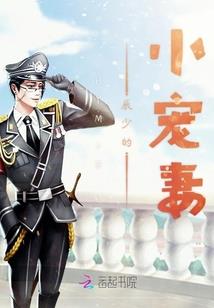 彩虹岛忍者职业