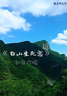 职业责任是什么