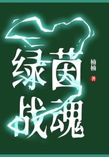 武将风云录破解版