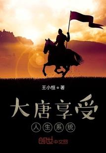 职业盘发视频
