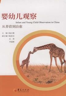 我的世界超高山种子