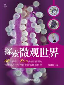 阴阳师游戏建模师