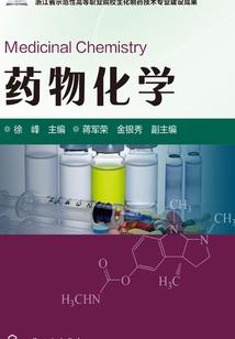 王者小灰侠