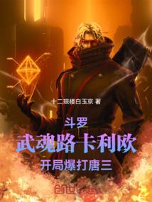 只显示关键帧属性的软件