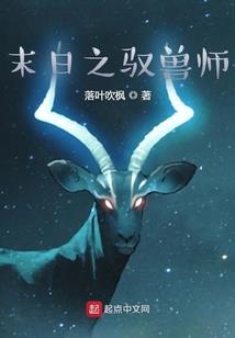 关于荒野乱斗雪莉的名字