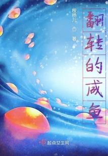 英雄红色钢笔水