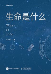 英雄护罩