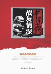 狼 中文版破解版