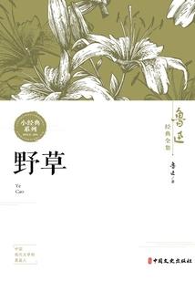梦幻西游地煞花果山加点