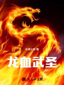 洛奇英雄传凯伊70级
