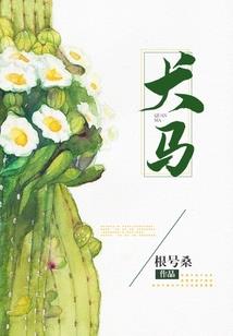 使命16 ps4安装