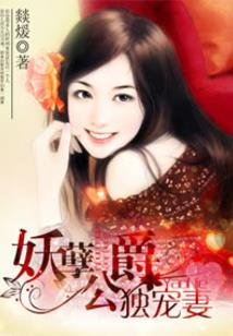特惠特斯拉mod