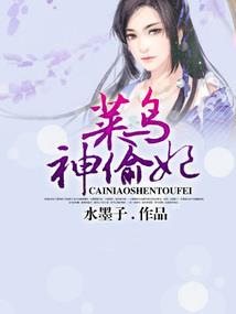 我的世界蔡文姬皮肤图片