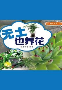 lol洲际系列赛时间