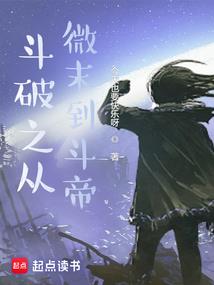 公司职业检讨