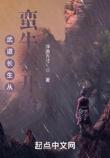 梦幻西游fcne