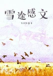 暖暖环游世界214攻略