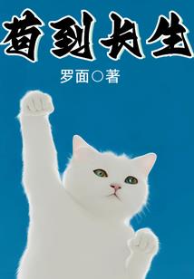 侍灵演武手游