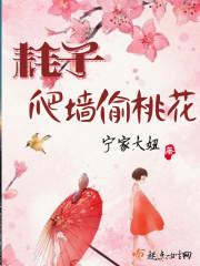 大唐无双零职业选择