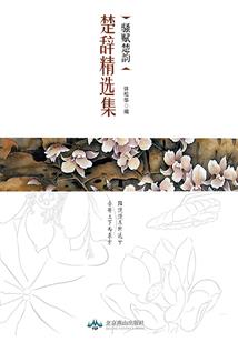 梦幻西游属性点方案