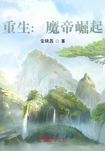 魔兽世界不能挂集合石