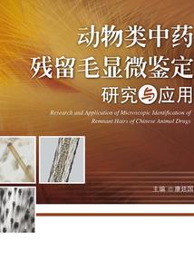 魔兽世界 雕纹