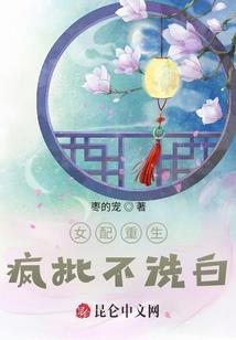 我的世界里面的奇妙冒险