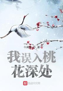 塞尔达荒野之息翻译