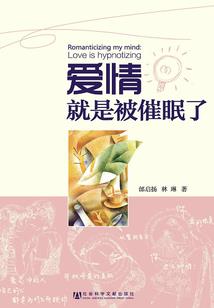 我的世界坏的唱片
