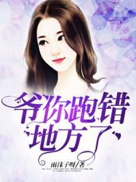 口袋妖怪釉色一周目攻略