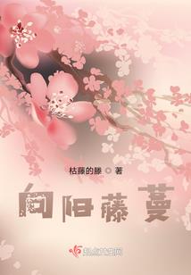 mod配置mod