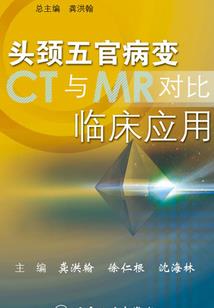 重生军嫂攻略txt