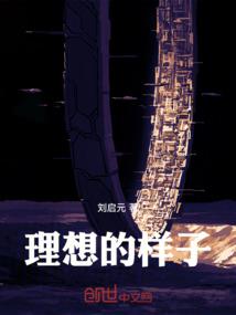 2012透明皮肤补丁