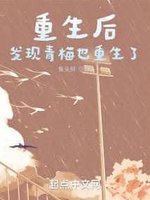 凤凰皮肤价格