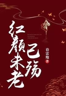 梦幻西游氪金幻化
