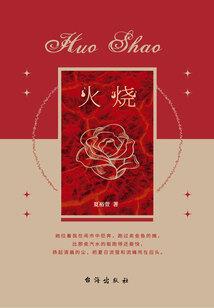 我的世界红石城堡