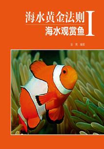 剑侠奇缘侍魂手游