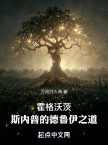 爱丽丝的古堡攻略