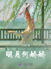 ps4携带背包