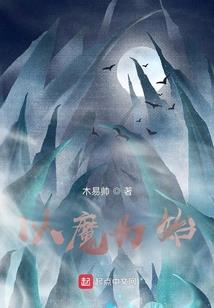 盗贼腐蚀装备