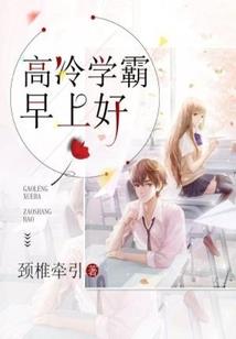 cm0304 球员属性